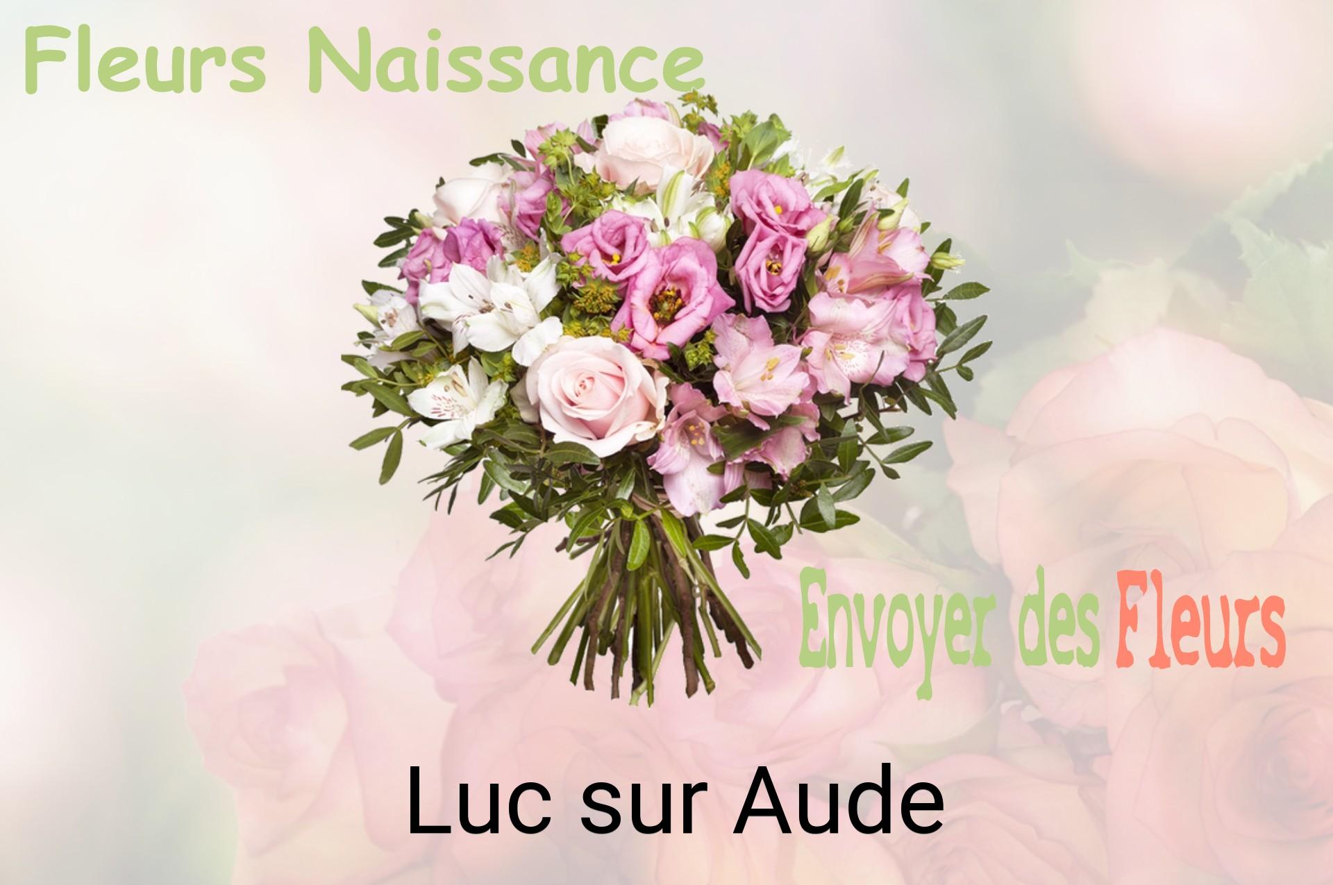 Bouquet de fleurs de naissance livré à Luc-sur-Aude