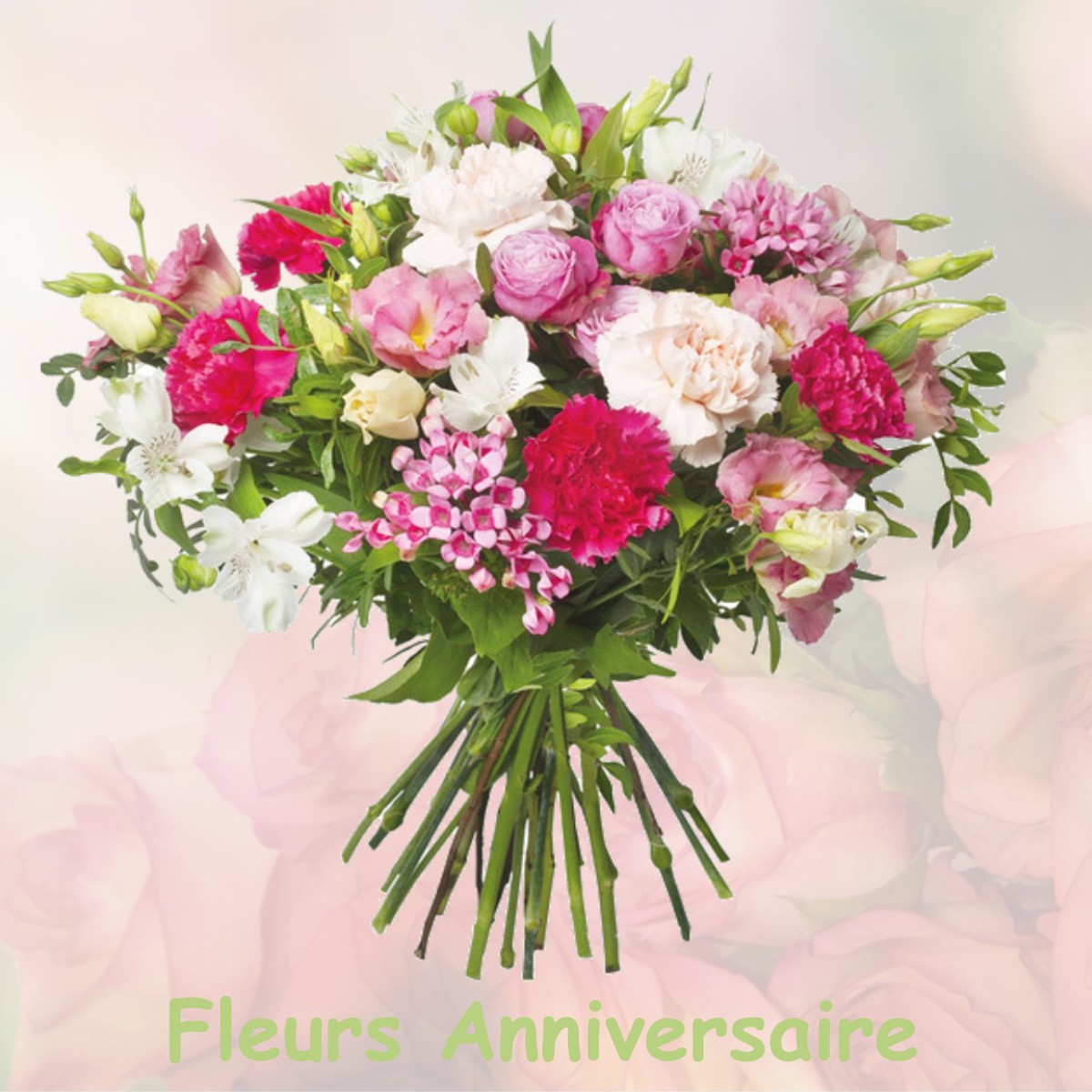fleurs anniversaire LUC-SUR-AUDE