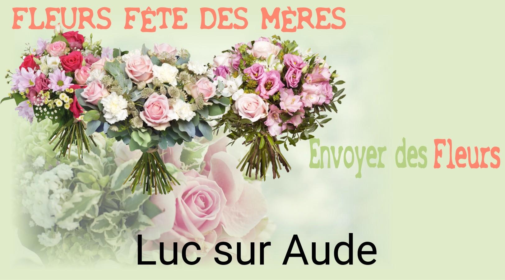 Bouquet de Fête des Mères livré à Luc-sur-Aude
